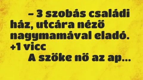 Viccek: 
		  
		  – 3 szobás családi ház, utcára néző nagymamával…