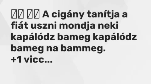 Viccek: 
		  
		  A cigány tanítja a fiát uszni mondja neki kapálódz bameg…