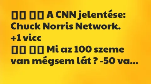Viccek: 
		  
		  A CNN jelentése: Chuck Norris Network.		 …