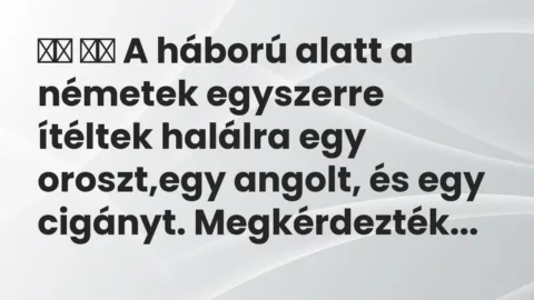 Viccek: 
		  
		  A háború alatt a németek egyszerre ítéltek halálra egy…