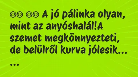Viccek: 
		  
		  A jó pálinka olyan, mint az anyóshalál!A szemet…