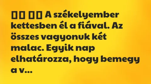 Viccek: 
		  
		  A székelyember kettesben él a fiával. Az összes vagyonuk…