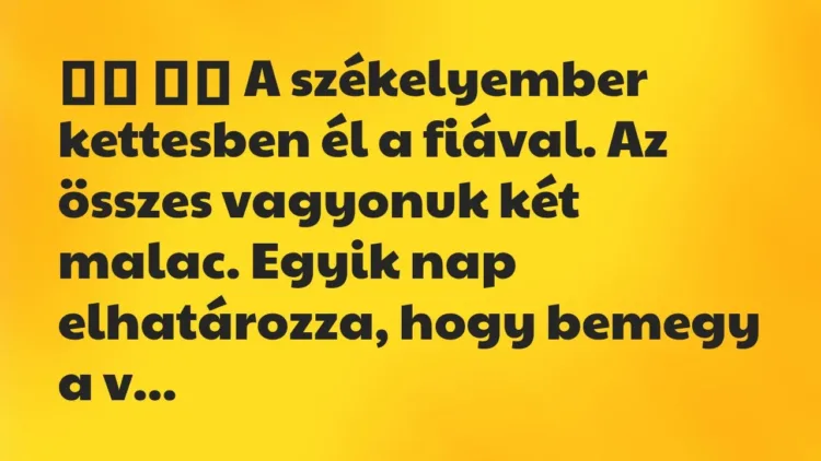 Viccek:
A székelyember kettesben él a fiával. Az összes vagyonuk… Viccek:
A székelyember kettesben él a fiával. Az összes vagyonuk…