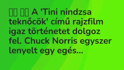 Viccek: 
		  
		  A ‘Tini nindzsa teknőcök’ című rajzfilm igaz történetet…