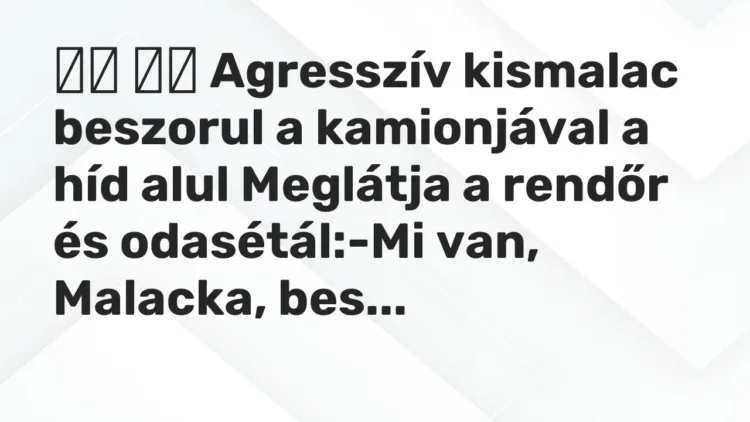Viccek:
Agresszív kismalac beszorul a kamionjával a híd alul… Viccek:
Agresszív kismalac beszorul a kamionjával a híd alul…