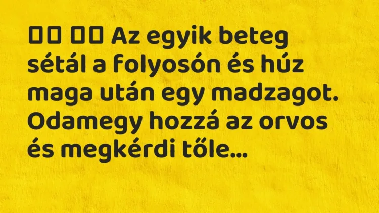 Viccek:
Az egyik beteg sétál a folyosón és húz maga után egy… Viccek:
Az egyik beteg sétál a folyosón és húz maga után egy…