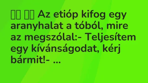 Viccek: 
		  
		  Az etióp kifog egy aranyhalat a tóból, mire az…