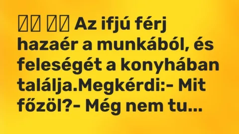 Viccek: 
		  
		  Az ifjú férj hazaér a munkából, és feleségét a konyhában…