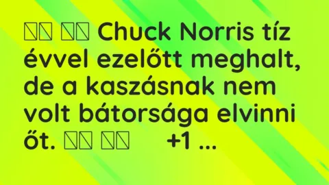 Viccek: 
		  
		  Chuck Norris tíz évvel ezelőtt meghalt, de a kaszásnak nem …