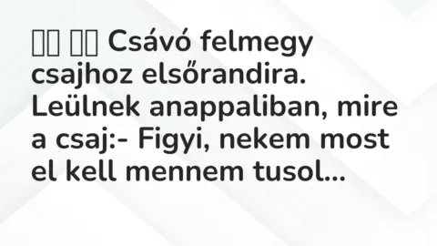 Viccek: 
		  
		  Csávó felmegy csajhoz elsőrandira. Leülnek anappaliban,…
