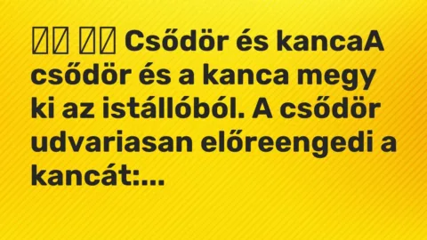 Viccek: 
		  
		  Csődör és kancaA csődör és a kanca megy ki az…