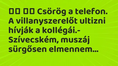 Viccek: 
		  
		  Csörög a telefon. A villanyszerelőt ultizni hívják a…
