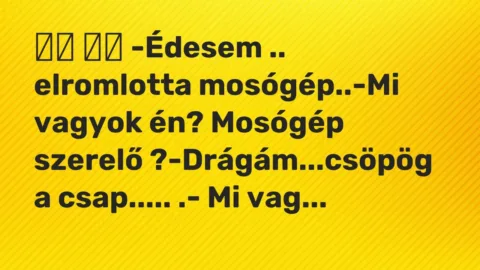 Viccek:
-Édesem .. elromlotta mosógép..-Mi vagyok én?… Viccek:
-Édesem .. elromlotta mosógép..-Mi vagyok én?…