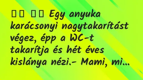 Viccek: 
		  
		  Egy anyuka karácsonyi nagytakarítást végez, épp a WC-t…