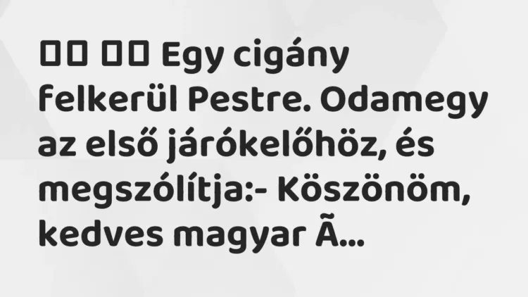 Viccek:
Egy cigány felkerül Pestre. Odamegy az első járókelőhöz, és… Viccek:
Egy cigány felkerül Pestre. Odamegy az első járókelőhöz, és…
