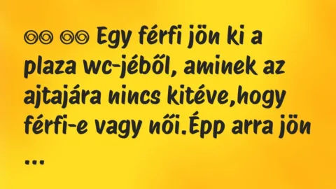 Viccek: 
		  
		  Egy férfi jön ki a plaza wc-jéből, aminek az ajtajára nincs…
