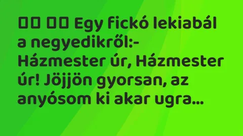 Viccek: 
		  
		  Egy fickó lekiabál a negyedikről:- Házmester úr,…