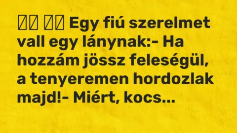 Viccek:
Egy fiú szerelmet vall egy lánynak:- Ha hozzám jössz… Viccek:
Egy fiú szerelmet vall egy lánynak:- Ha hozzám jössz…