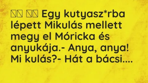 Viccek: 
		  
		  Egy kutyasz*rba lépett Mikulás mellett megy el Móricka és a…