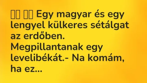 Viccek: 
		  
		  Egy magyar és egy lengyel külkeres sétálgat az erdőben….