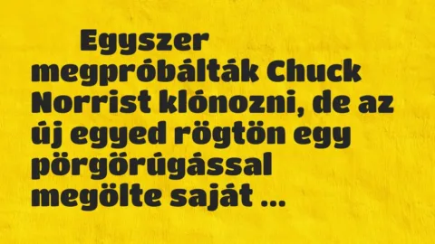 Viccek: 
		  
		  Egyszer megpróbálták Chuck Norrist klónozni, de az új egyed…