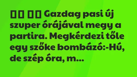 Viccek: 
		  
		  Gazdag pasi új szuper órájával megy a partira. Megkérdezi…