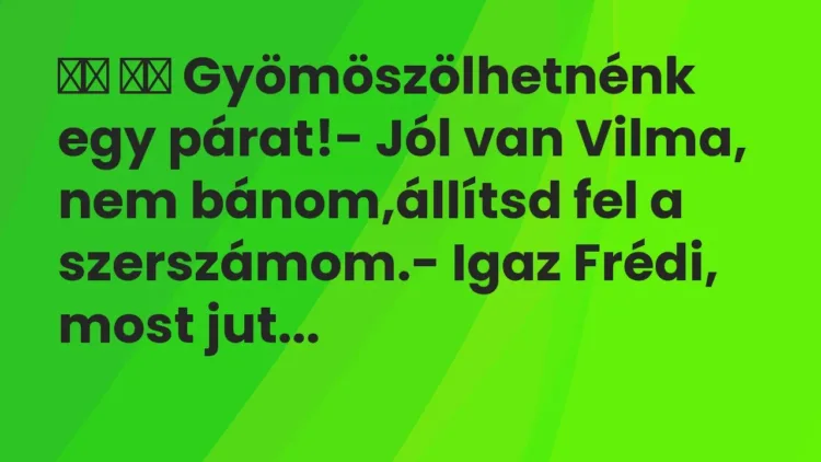 Viccek:
Gyömöszölhetnénk egy párat!- Jól van Vilma, nem… Viccek:
Gyömöszölhetnénk egy párat!- Jól van Vilma, nem…