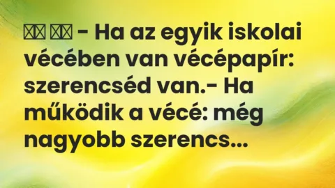 Viccek: 
		  
		  – Ha az egyik iskolai vécében van vécépapír: szerencséd van…