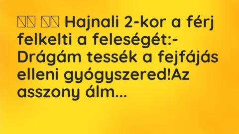 Viccek: 
		  
		  Hajnali 2-kor a férj felkelti a feleségét:- Drágám…