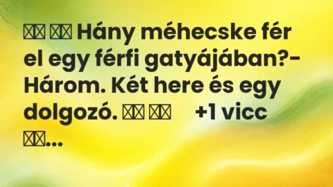 Viccek: 
		  
		  Hány méhecske fér el egy férfi gatyájában?- Három. Két …