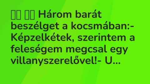 Viccek: 
		  
		  Három barát beszélget a kocsmában:- Képzelkétek,…