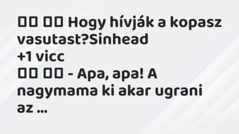 Viccek: 
		  
		  Hogy hívják a kopasz vasutast?Sinhead		 …