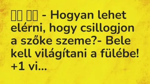 Viccek: 
		  
		  – Hogyan lehet elérni, hogy csillogjon a szőke szeme?- …