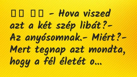 Viccek: 
		  
		  – Hova viszed azt a két szép libát?- Az…