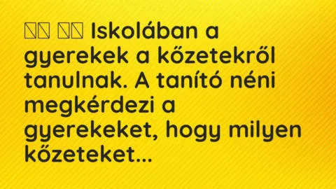 Viccek: 
		  
		  Iskolában a gyerekek a kőzetekről tanulnak. A tanító néni…