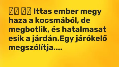 Viccek: 
		  
		  Ittas ember megy haza a kocsmából, de megbotlik, és…