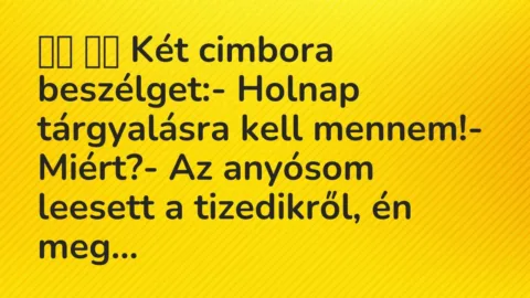 Viccek: 
		  
		  Két cimbora beszélget:- Holnap tárgyalásra kell…