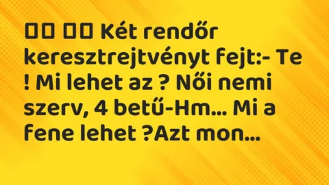 Viccek: 
		  
		  Két rendőr keresztrejtvényt fejt:- Te ! Mi lehet az ?…