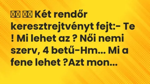 Viccek: 
		  
		  Két rendőr keresztrejtvényt fejt:- Te ! Mi lehet az ?…
