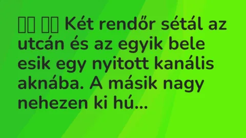 Viccek: 
		  
		  Két rendőr sétál az utcán és az egyik bele esik egy nyitott…