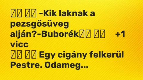 Viccek: 
		  
		  -Kik laknak a pezsgősüveg alján?-Buborék		 …