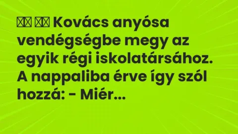Viccek: 
		  
		  Kovács anyósa vendégségbe megy az egyik régi…