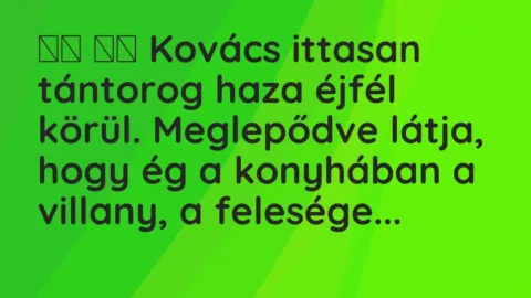 Viccek: 
		  
		  Kovács ittasan tántorog haza éjfél körül. Meglepődve látja,…
