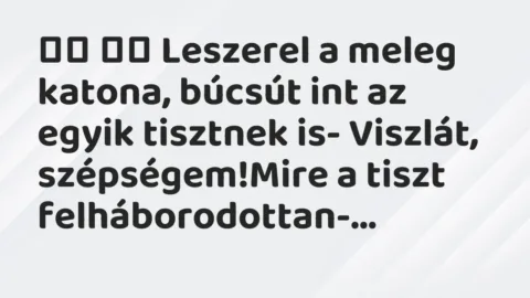Viccek:
Leszerel a meleg katona, búcsút int az egyik tisztnek is Viccek:
Leszerel a meleg katona, búcsút int az egyik tisztnek is