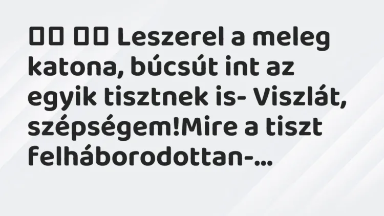 Viccek:
Leszerel a meleg katona, búcsút int az egyik tisztnek is Viccek:
Leszerel a meleg katona, búcsút int az egyik tisztnek is