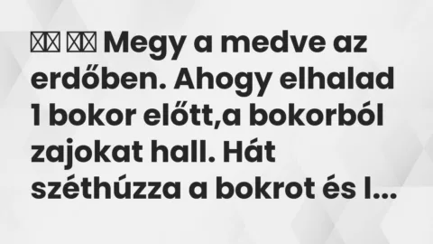 Viccek:
Megy a medve az erdőben. Ahogy elhalad 1 bokor előtt,a… Viccek:
Megy a medve az erdőben. Ahogy elhalad 1 bokor előtt,a…