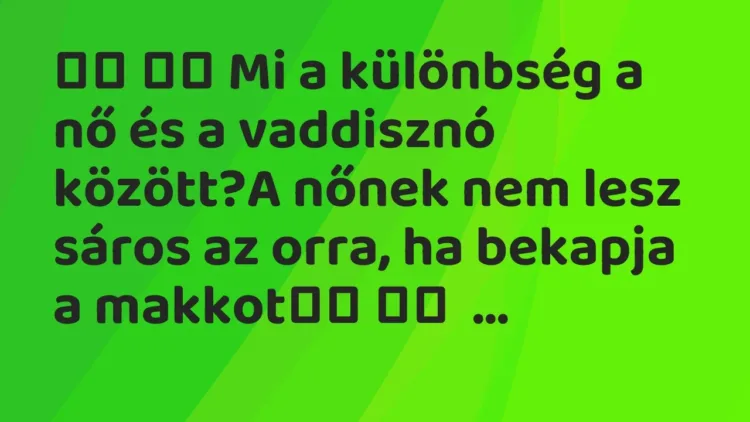 Viccek:
Mi a különbség a nő és a vaddisznó között?A nőnek nem… Viccek:
Mi a különbség a nő és a vaddisznó között?A nőnek nem…