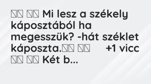 Viccek: 
		  
		  Mi lesz a székely káposztából ha megesszük? -hát…