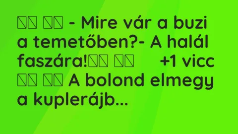 Viccek: 
		  
		  – Mire vár a buzi a temetőben?- A halál faszára!		 …