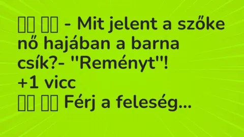 Viccek: 
		  
		  – Mit jelent a szőke nő hajában a barna csík?-…